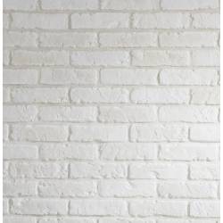 mur briques de parement blanches