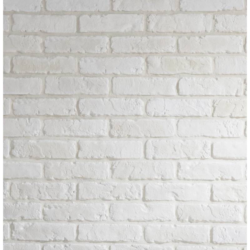 mur briques de parement blanches